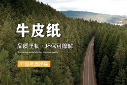 牛皮紙是牛皮做成的嗎？牛皮紙/?？埖纳a(chǎn)與用途